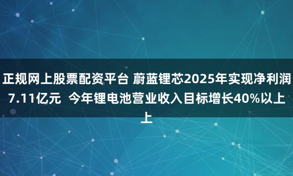 正规网上股票配资平台 蔚蓝锂芯2025年实现净利润7.11亿元  今年锂电池营业收入目标增长40%以上